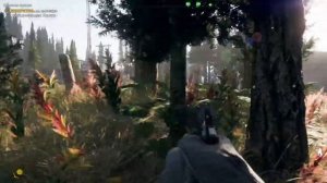 Far Cry 5_ Право на оружие. (Прохождение PS4 Pro)