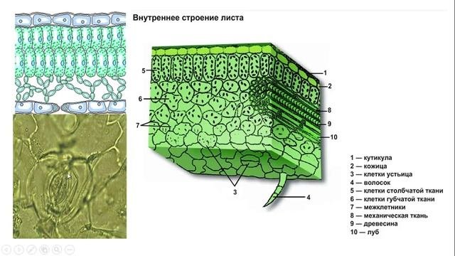 Урок №12.2 