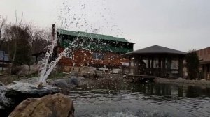 База Ландшафта, Дубовый ключ, город Уссурийск, обзор