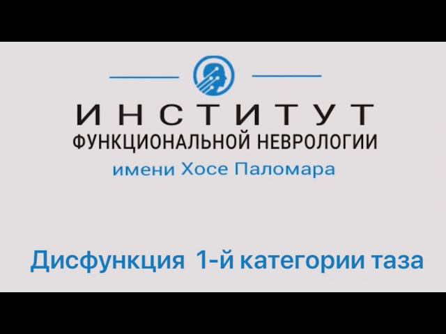 Дисфункция таза (1-ая категория) | как мышцы и точки связаны с 1-ой категорией таза | лечение P-DTR