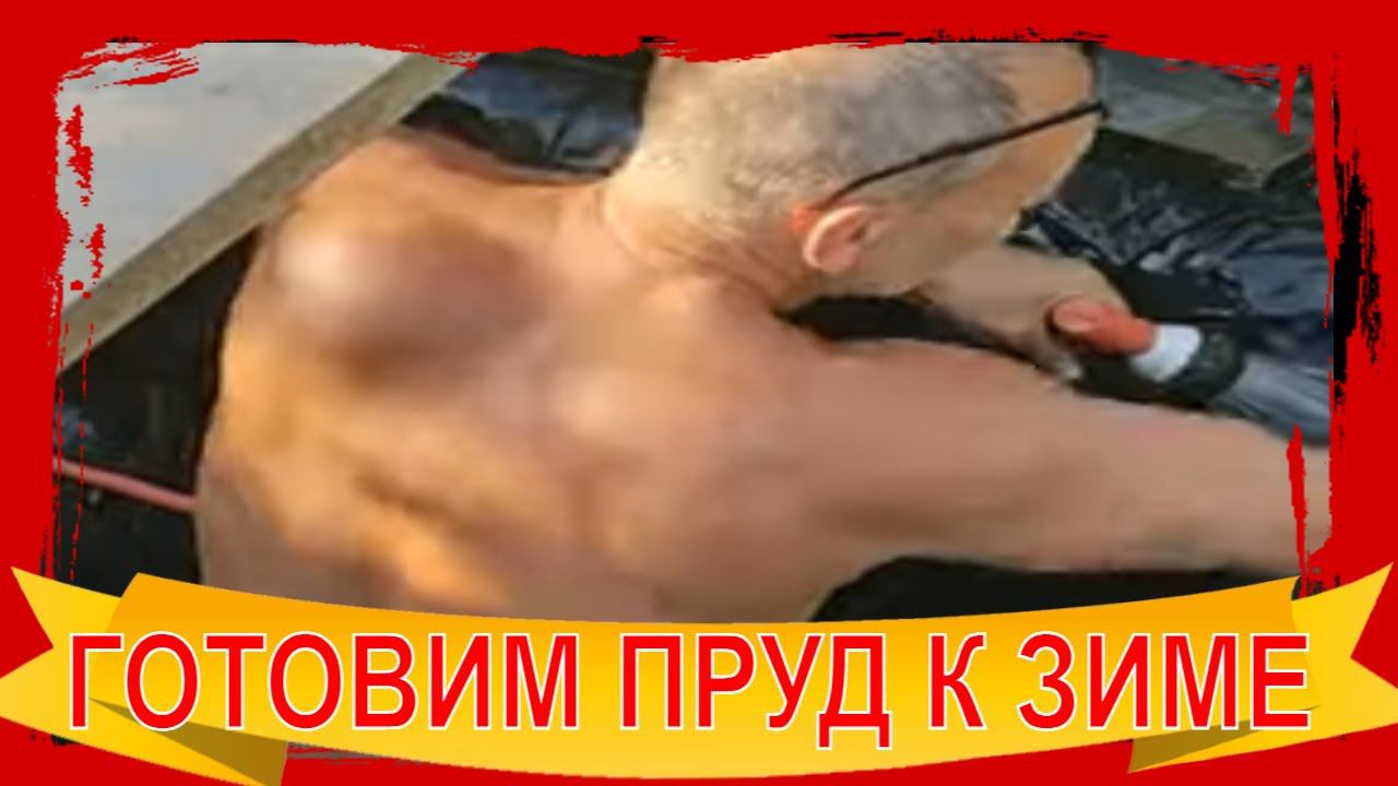 Рыбки золотые! Они не умрут зимой? Как подготовить пруд к зимовке рыб?