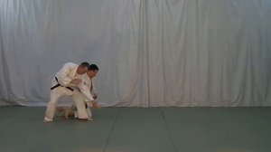 Ханми хантати вадза гяку ханми кататэ дори никё