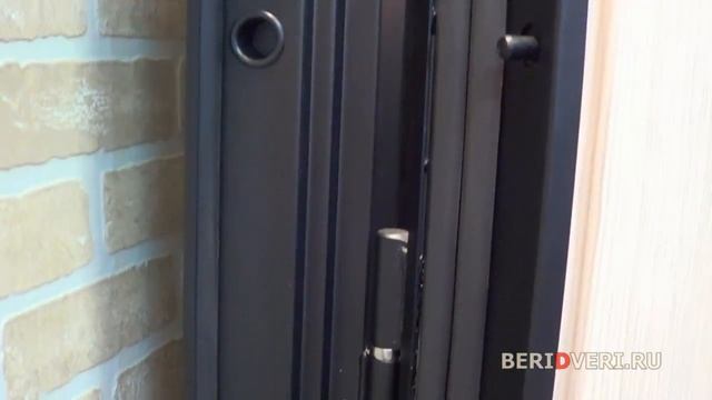 Обзор входной двери для квартиры РЕКС Гладиатор смотреть онлайн