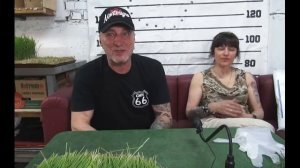 Вырастить пшеницу без плесени, можно или нет. Вопросы и ответы.