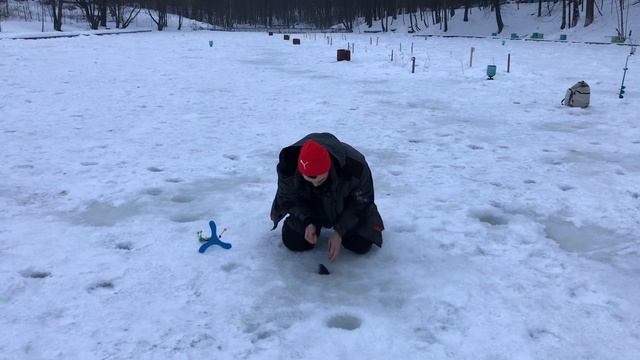 3 февраля 2023 г. смотреть онлайн