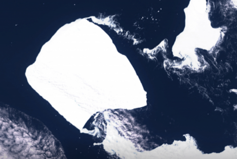«Размером с два Санкт-Петербурга»: чем грозит движение самого крупного айсберга в мире