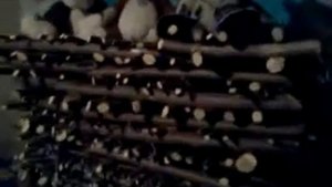 Сушка дров в домашних условиях.