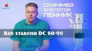 Red starfish DC SQ 90