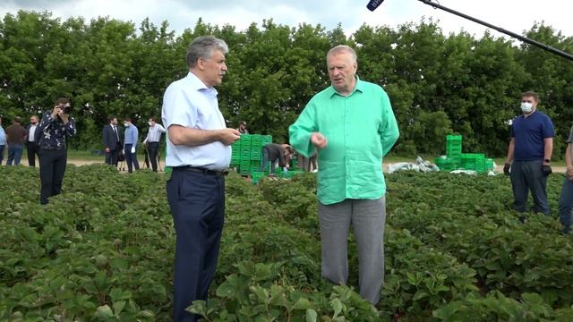 "Работают люди, так не мешайте им работать!" (02.07.2020) смотреть онлайн