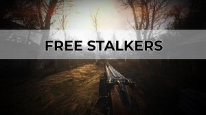 Free Stalkers - Expedition