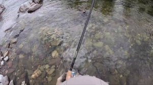 Рыбалка на Хариуса,  река Диби саянские горы