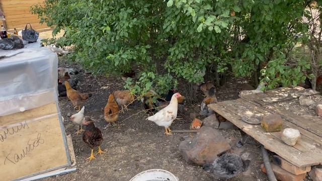 21-06-2023 смотреть онлайн