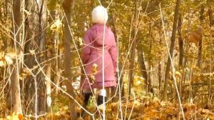 Ольга Арефьева   Осень