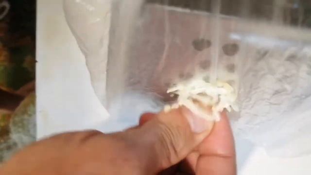 Как легко натереть чеснок (лайфхак) смотреть онлайн