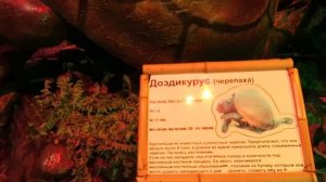 Динозавры Юрского Периода / Динопарк Сочи