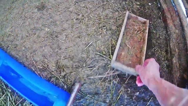 про село - КОРМУХА ДЛЯ ГУСЕЙ, уток / сельхоз-влог / как стать фермером / жизнь в деревне / ЛПХ / КФ смотреть онлайн