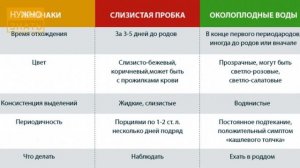 Как отходит слизистая пробка перед родами. Как выглядит пробка. Процесс отхождения пробки