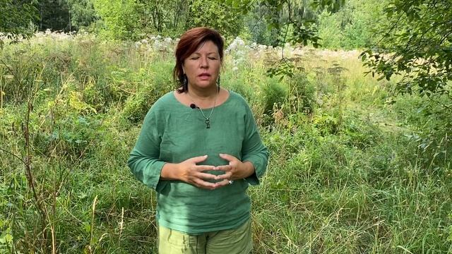 Практика вхождения в медитацию Исцеления травмы
