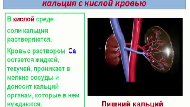 Бублик о здоровье смотреть онлайн