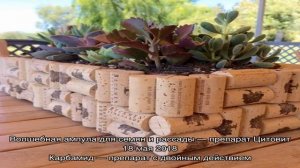 Дрожжи как удобрение для растений: как применять