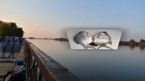 Рыбалка в Лиманском районе.