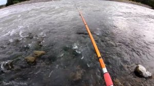 За речной рыбой.Усач.Маринка