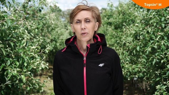 Ochrona sadu po uszkodzeniach gradowych (Topsin M 500 SC) смотреть онлайн