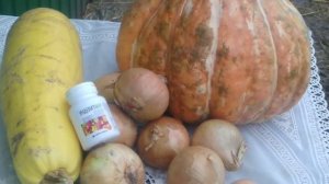 Зимняя линька у кур несушек.