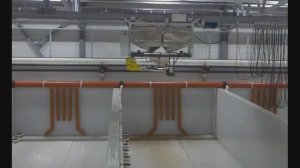 Комплекс автоматизированного кормления рыбы.mp4