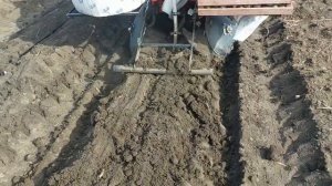 Сажалка картофельная под каплю в работе \ видео от клиента