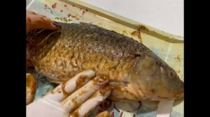 СУПЕР ВКУСНАЯ ФАРШИРОВАННАЯ РЫБА - ЛЕВЕНГИ !