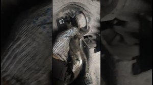 Замена сайлентблоков honda orthia