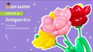Урок 6. Тюльпан от художника по воздушным шарам Sempertex Сергея Шевченко.