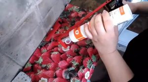 Силиконовые подушечки для тиснения цветов своими руками