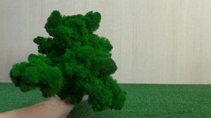 Дерево из стабилизированного мха своими руками. Бонсай в террариум. DIY.