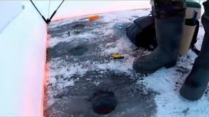 Ловля плотвы в январе