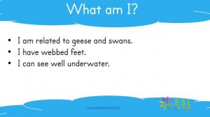 🐐 Guess the Animal Quiz Part 2 | Animals Game for Kids