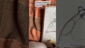 Первый шейный позвонок (атлант)