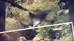 Беневский водопад,  Приморский край