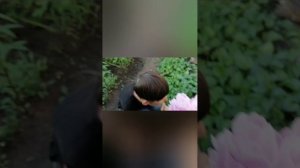 Мини фильм Атака птичек
