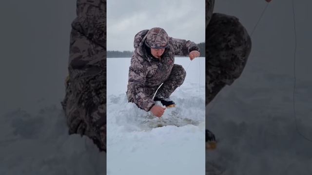 ЗИМНЯЯ РЫБАЛКА / ПРОВЕРЯЮ УЛОВ