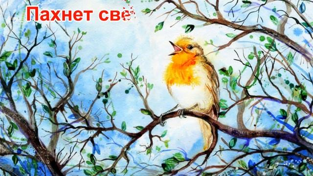 С Добрым Весенним утром! Доброго утра! Хорошего дня!