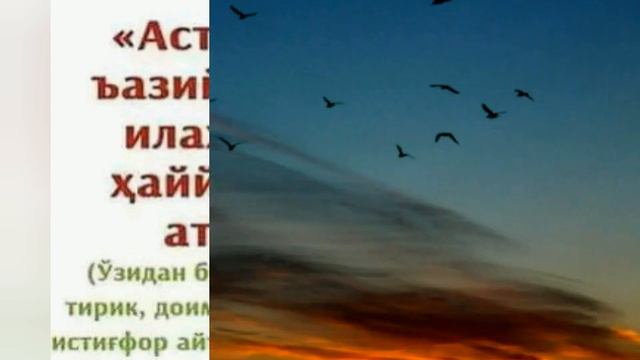 Оятал курсини 7 кун укилиши куриниши