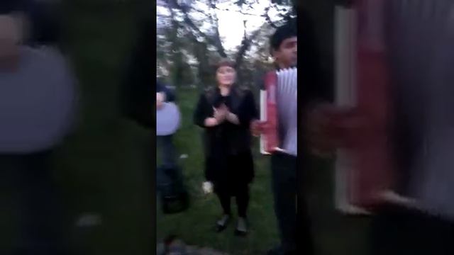 Даргинцы отдыхают.Даргинская песня на аккордеоне