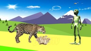 дикие животные для детей 4 5 лет - домашние животные для детей малышман тв | BonBi TV