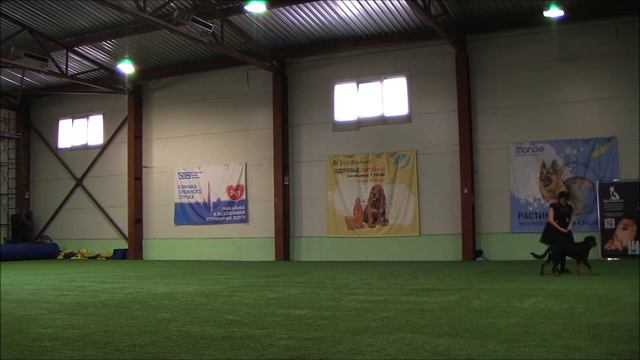 Лобастова Мария и Исгаард Вишенка на Торте,класс ДЕТИ смотреть онлайн