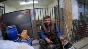 ВЫГОДНО ЛИ ЗАНИМАТЬСЯ СВИНОВОДСТВОМ | Какой расход и доход с одной свиньи. ПОДРОБНО!