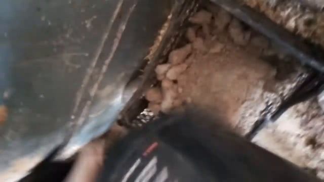 Как и чем Я кормлю своих коз! Сукозных и те что после окота!