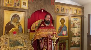 Проповедь протоиерея Романа Бацмана 7 июня 2024 г.