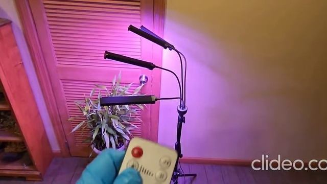 Фитолампа на штативе с таймером и пультом управления, 420 диодов, полный спектр смотреть онлайн